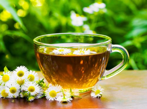 Chamomile Tea For Insomnia - What is it and How to Use It For Sleep 