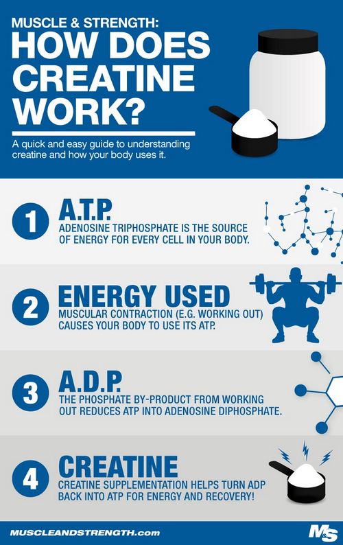 How Much Creatine Should I Take? 