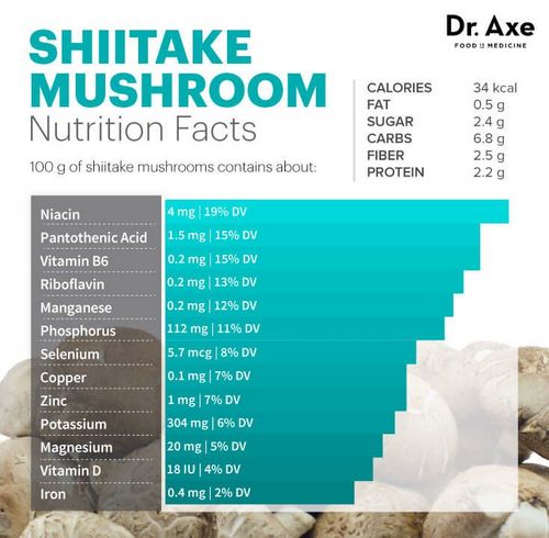 Shiitake Mushroom - Information 